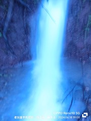 1000061478