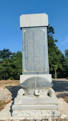 1000068915