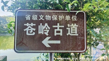 1000068886