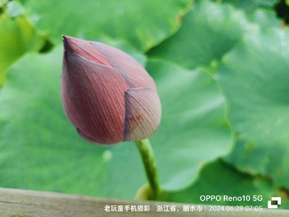 1000062512