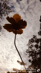 1000110271