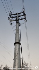 1000086445