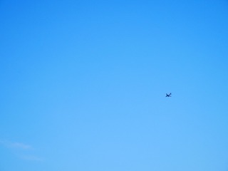 15083
