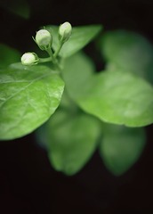 20150503-5