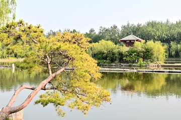 A8E36E88-650B-4C44-83E7-4488AD47E5F4/L0/001