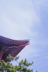 7DF2F62C-E6E5-486C-954C-937A3C37B8DD/L0/001