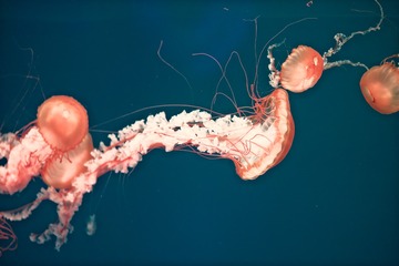 87924