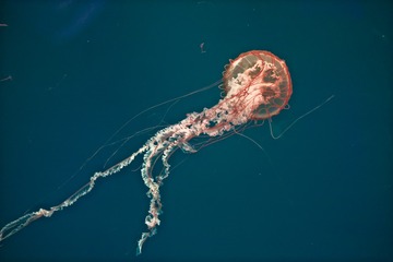 87927