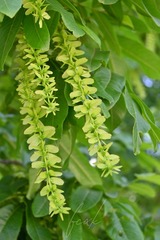 B498E541-60EF-46AB-9B07-306208EC1B8F/L0/001