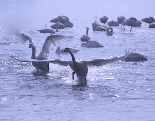 8955721C-F8BB-49DC-9316-18D7C37E46C0/L0/001