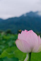 FA8774A5-26BF-43FE-8C6F-D747AB1F27D6/L0/001