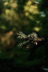 C95800A7-FBEF-4444-8569-166783381426/L0/001