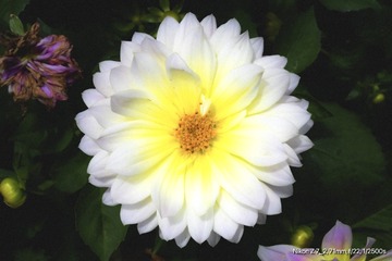 DB616027-890B-4D07-AD50-4E8ED9FAC98F/L0/001