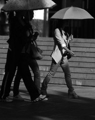 路边9.jpg
