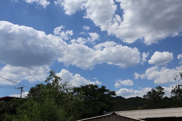 1474EF89-3F1C-48E1-AC95-722BD3A1941F/L0/001
