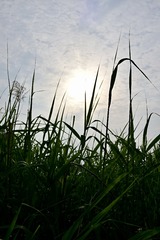 49877C26-CC87-4DF6-896F-C1022E3438F9/L0/001