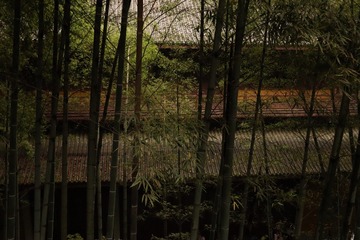 31EDDCDB-8689-4E5C-A757-5C6D74B0B842/L0/001