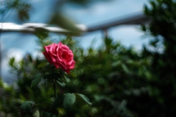 9F831D72-D754-49F3-B62A-B7349B155117/L0/001