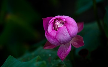 _DSC1745