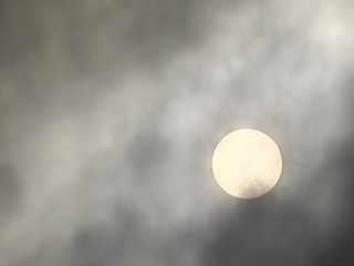 1000011341