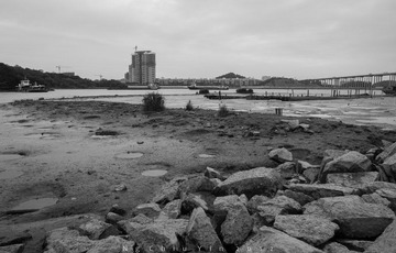DSC_9635.jpg