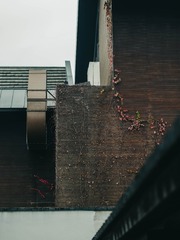 1000010821