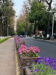 052B78EB-00E7-4027-8AB5-B92E33EDB37F/L0/001