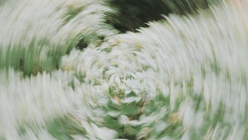 38CE7D78-8CF6-4CDA-911F-F6571212486C/L0/001