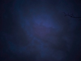 1000091535