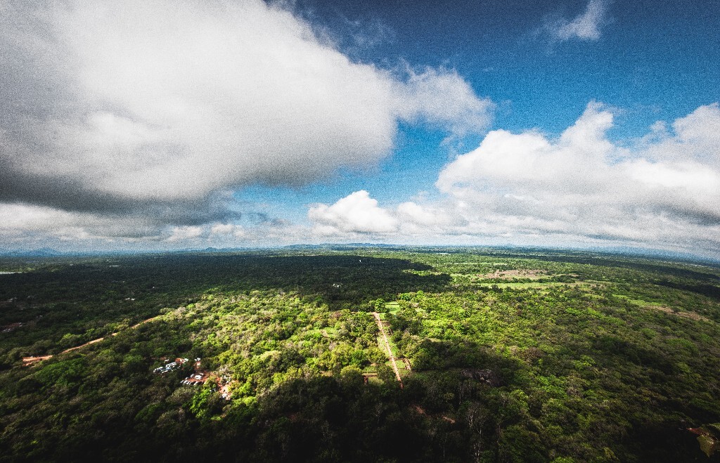 Lion rock