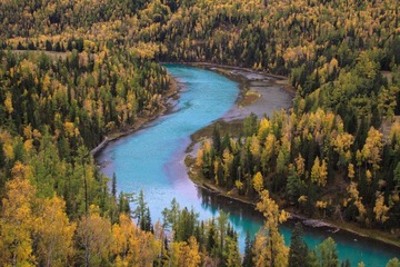 20090920-IMG_0394.jpg