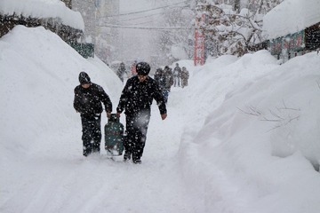 20100117-IMG_0625.jpg