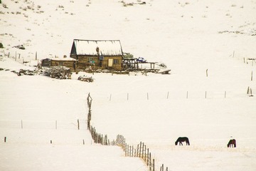 20101108-IMG_1292.jpg