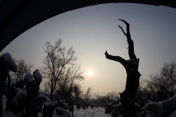 IMG_1727.JPG