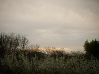 A3B90B08-8432-46E5-886D-79AE24115FA8/L0/001