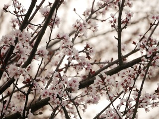 777D229E-BD59-4654-B84B-6D38145AB67B/L0/001