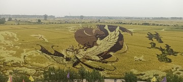 38136