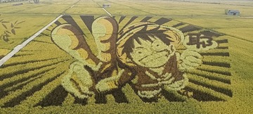 38156