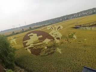 38083