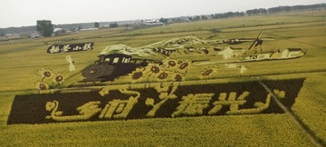 38154