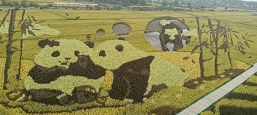 38157