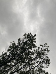 D0FB0C02-056D-41C0-AB42-7007523CCAC3/L0/001