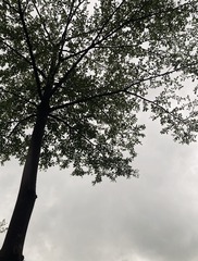 E5130967-7823-44DA-8E14-6D44152D8524/L0/001
