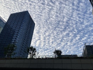 B1F06366-5664-45AB-81EF-E23A51D54280/L0/001