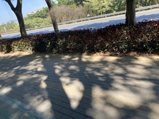 45EC9974-A048-43D1-B7D1-212585535B93/L0/001