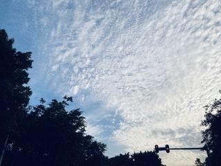 89907D2A-D8D0-44F0-8717-7C7B75AE178D/L0/001