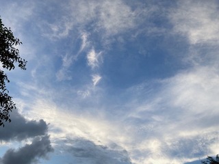EB57026F-D384-4FB4-B35F-1070E8168450/L0/001