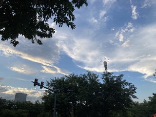 D1598B03-64D5-45CE-BA23-25E49BB95536/L0/001