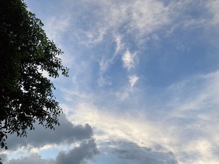 F7B9D5A0-A337-47AC-82F7-142A7863401F/L0/001