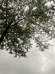 9D0E3C7A-5326-485A-A399-72C1BDD112C9/L0/001
